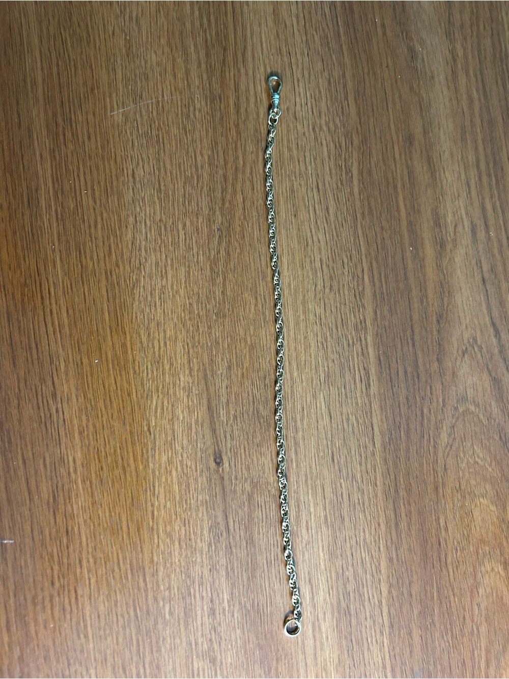 Delicate Gold-Tone Chain Anklet